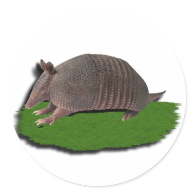ARMADILLO sticker round stickers
