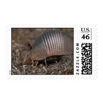 Armadillo Habitat  Postage Stamp