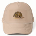Armadillo Hat by Critterpainter Armadillo Hat