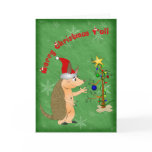 Armadillo Merry Christmas Card