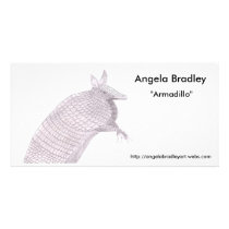 Armadillo photo cards