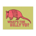 Armadillo postcards