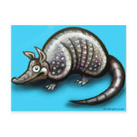 Armadillo Postcard
