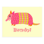Armadillo Postcard
