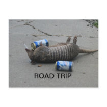 Armadillo Road Trip Post Cards