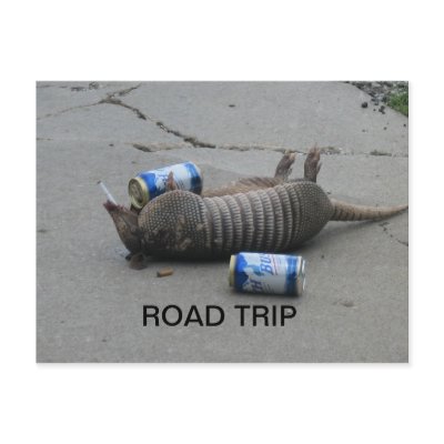Armadillo Road Trip Post Cards by ozarkhound
