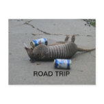 Armadillo Road Trip Post Cards