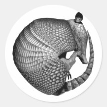 Armadillo Round Sticker