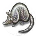 Armadillo stickers by FunGraphix Armadillo stickers