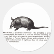 armadillo stickers