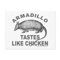 ARMADILLO TASTES LIKE CHICKEN POST CARD
