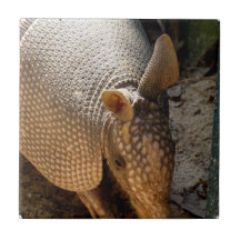 Armadillo Tile 