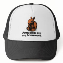 Armadillos ate my homework mesh hat