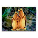 Armadillos card