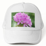 Armeria Maritima - Sea Thrift Trucker Hats