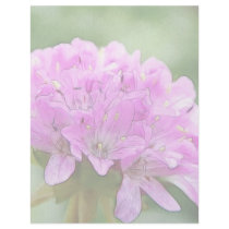 Armeria Maritima - Sea Thrift Custom Letterhead