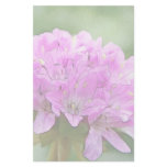 Armeria Maritima - Sea Thrift Custom Stationery