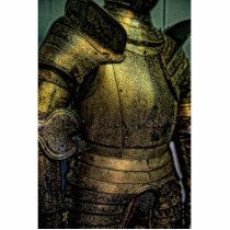 Armor of Medieval Knight Photo Sculpture