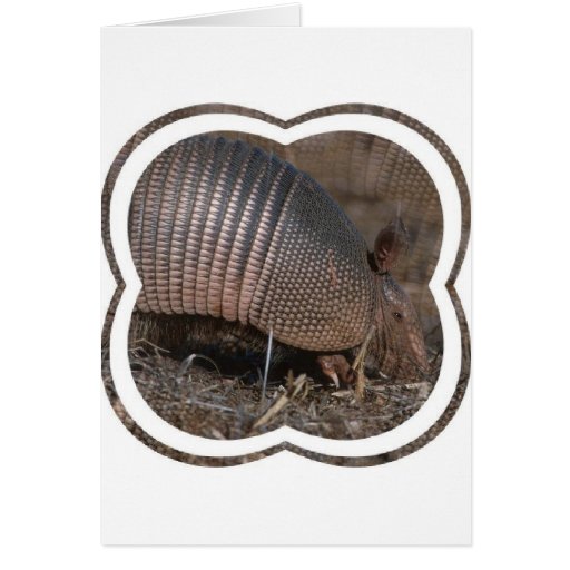 Armored Armadillo Greeting Card