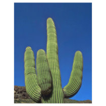 Arms Of A Saguaro Personalized Flyer