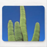 Arms Of A Saguaro Mouse Pad