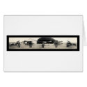 Army Air Core Pilot Seaplane Plane 1927 cards