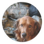 Army Dog Stickers