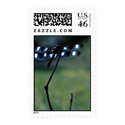 Army Dragonfly Stamps by ksignorello
