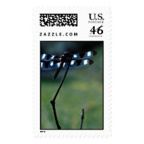Army Dragonfly postage by ksignorello Army Dragonfly postage