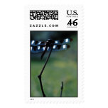 Army Dragonfly postage