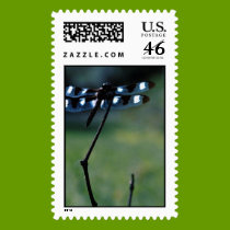 Army Dragonfly postage