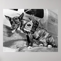 Army Flying School Pooch, 1942 Poster