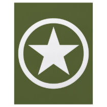 Army Star Full Color Flyer