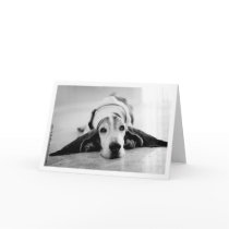 Arnie Card