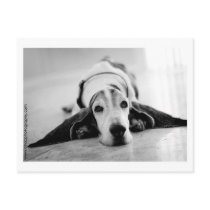 Arnie Postcard