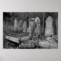 ArnosVale4 Posters
