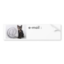 Arobas whit Kitten Bumper Sticker