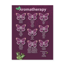 Aromatherapy Chart in Burgundy Post Cards