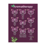 Aromatherapy Chart in Burgundy postcards