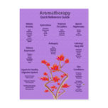 Aromatherapy Chart in Lavender Post Card