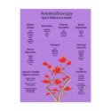 Aromatherapy Chart Postcard
