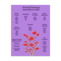 Aromatherapy Chart Postcard
