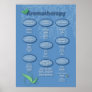 Aromatherapy Poster