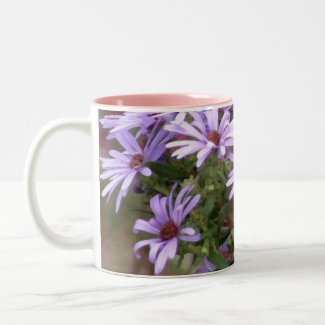 Aromatic Aster 1