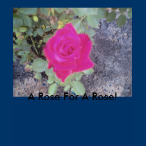 around home2004, A Rose For A Rose! t-shirts