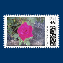 around home2004 postage