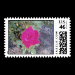 around home2004 stamps