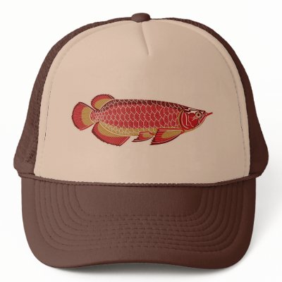 arowana hat by oldasgold