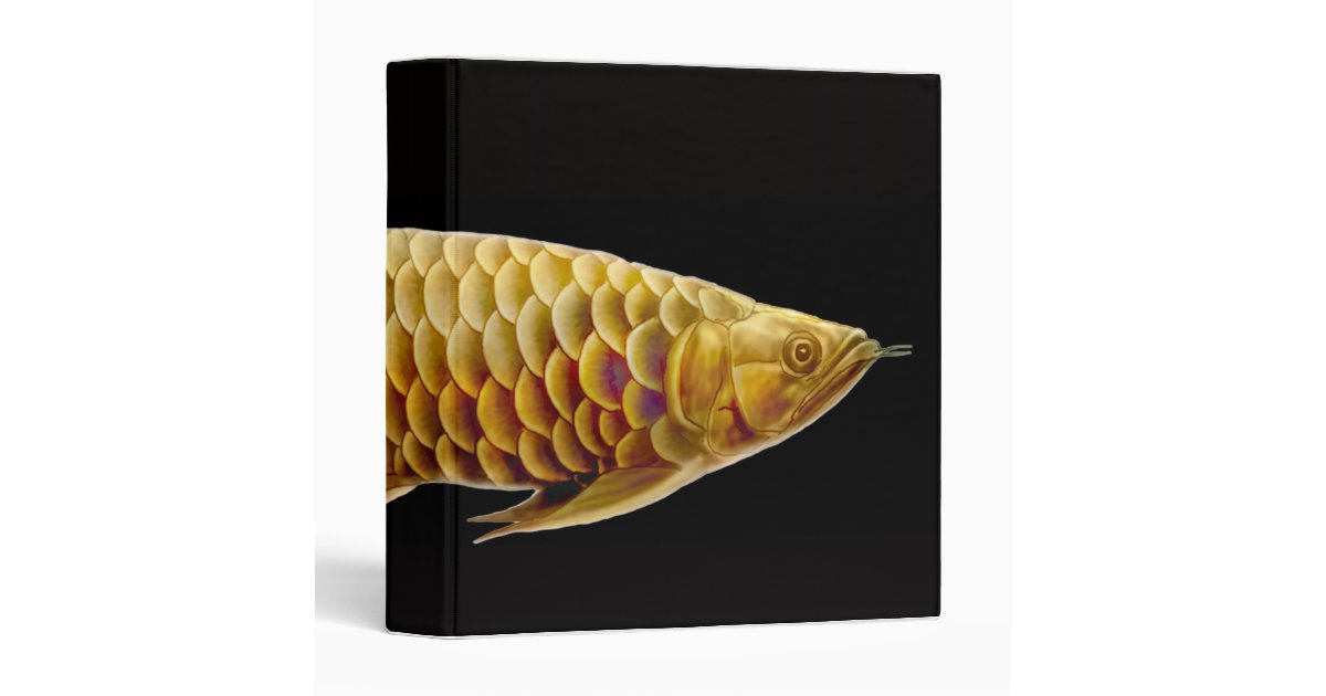 Arowana Tropical Fish Binder Zazzle