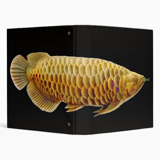 Arowana Tropical Fish Binder Zazzle